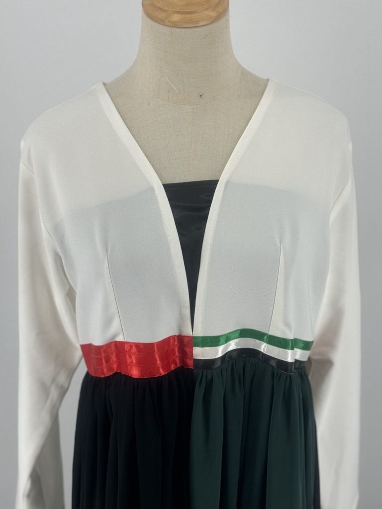 UAE flag colors dress