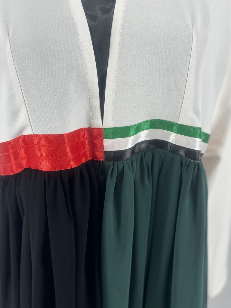 UAE flag colors dress