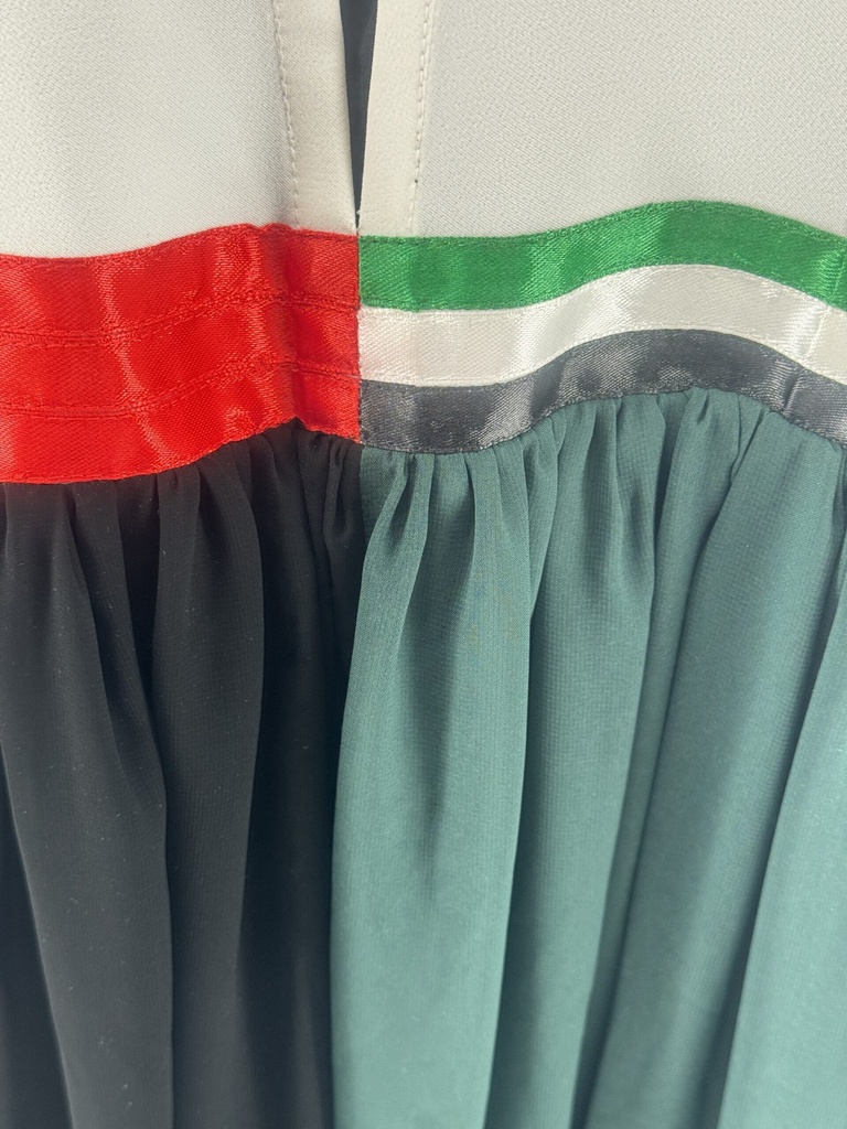 UAE flag colors dress