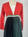 UAE Flag colors sheer Dress