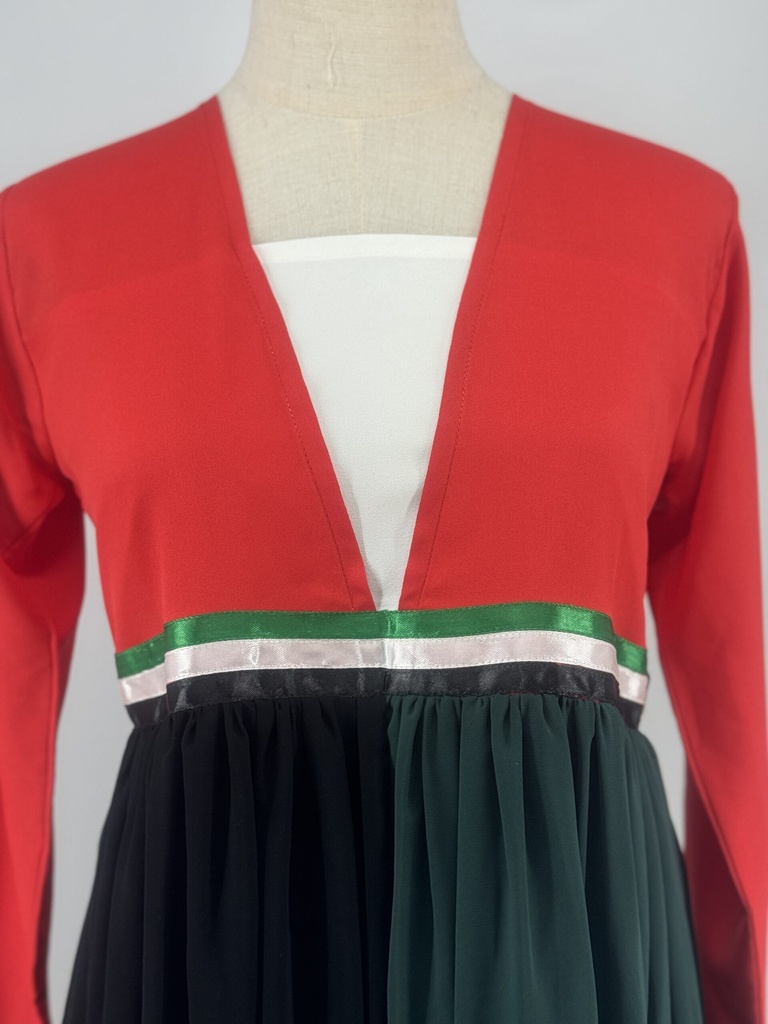 UAE Flag colors sheer Dress