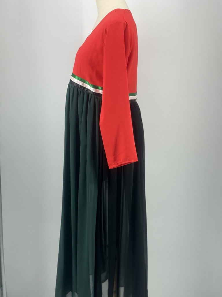 UAE Flag colors sheer Dress