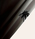 Men's palm tree black Print Beach Shorts 