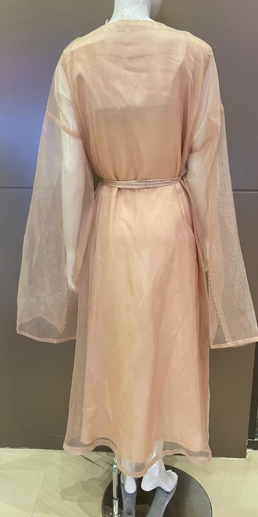 Lovely peach tulle dress with embellished flowing sleeves for a stylish look