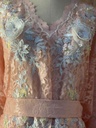 Elegant In Peach Dress