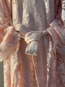 Elegant In Peach Dress