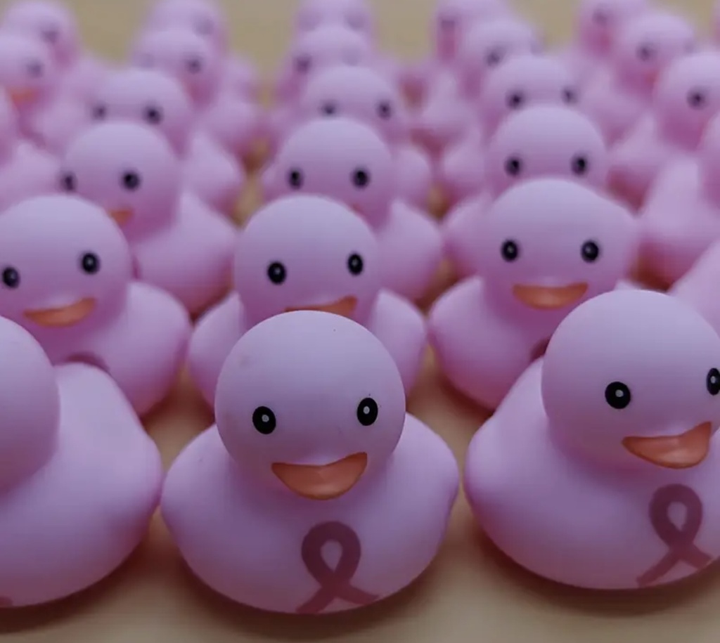Breast cancer pink duck Toy 