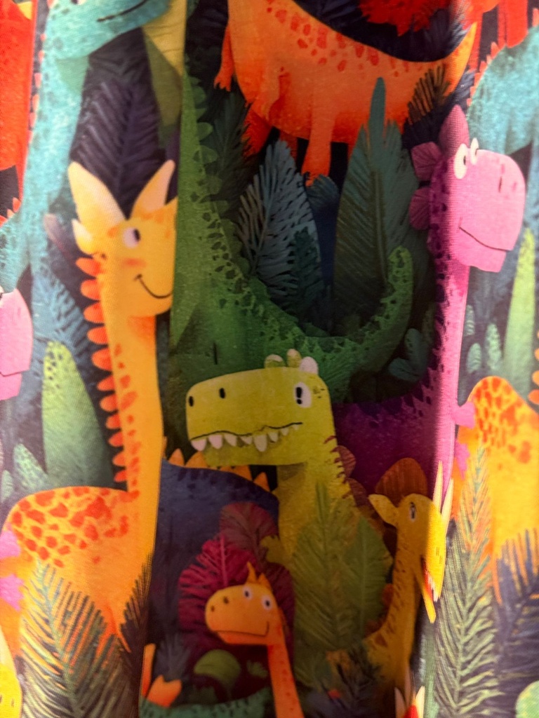 Small Dinosaur Patient  Gown