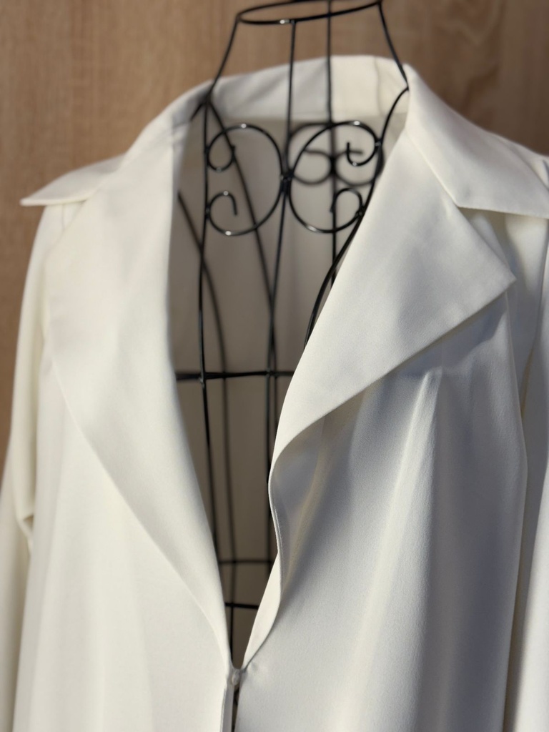 Stylish and Graceful Abaya