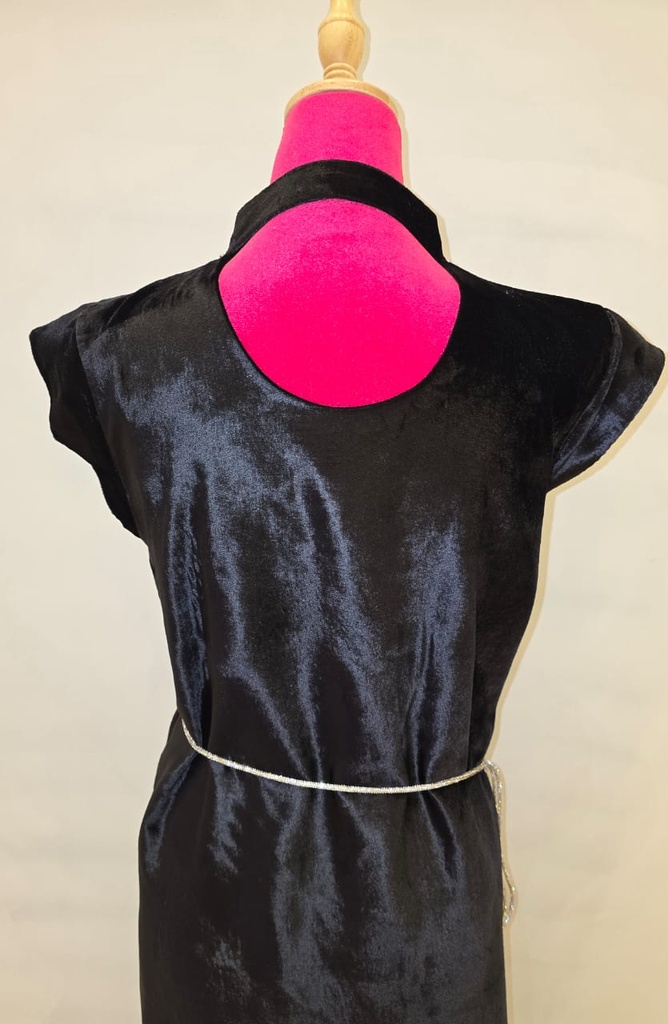 Luxury Embellished Velvet Dress