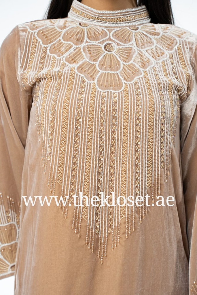 Luxurious high neck hand beaded velvet Dress