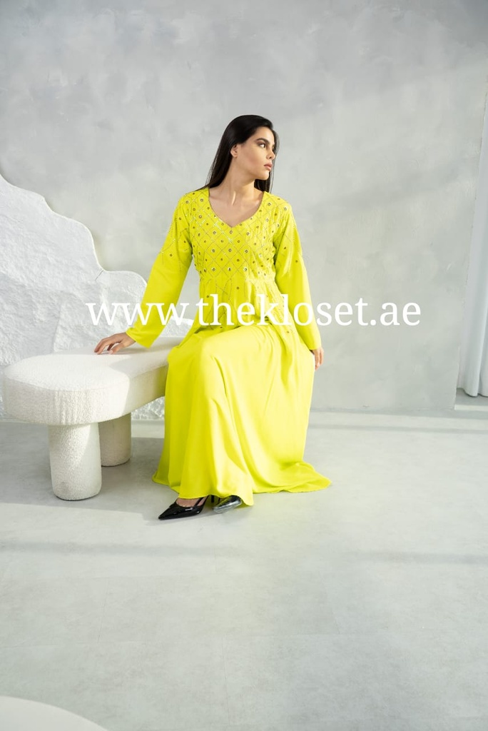 Silky Embroidered Dress