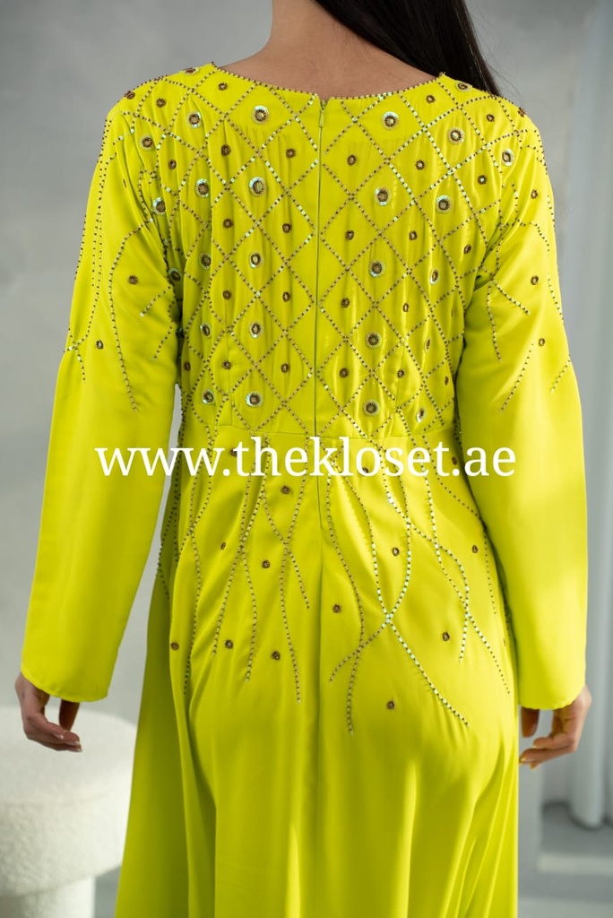 Silky Embroidered Dress