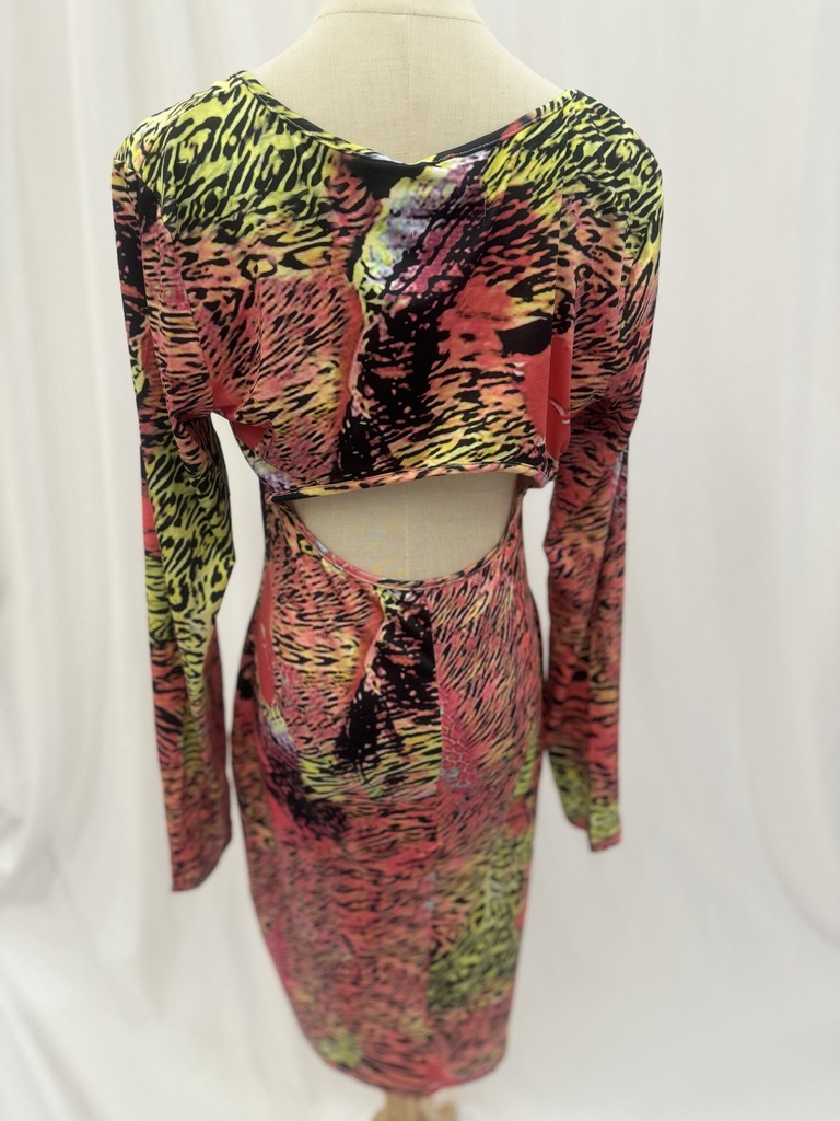 Colorful Tiger Dress