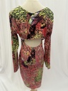 Colorful Tiger Dress