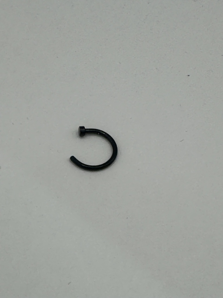 Nose Ring