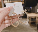 Sparkling Hoop Earrings