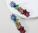 Colorful floral Earrings