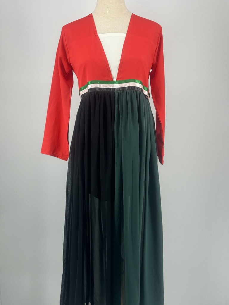 UAE Flag colors sheer Dress