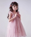 Sequinned Mesh Suspenders Tulle Dress