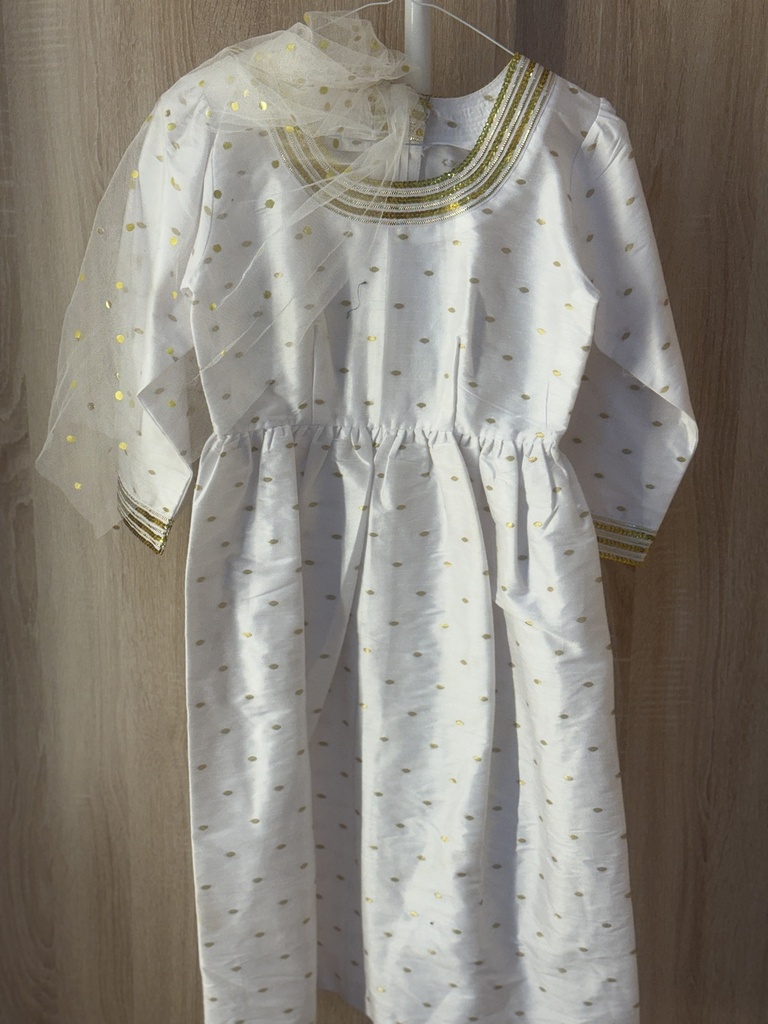 Traditional kids with mesh cover dress