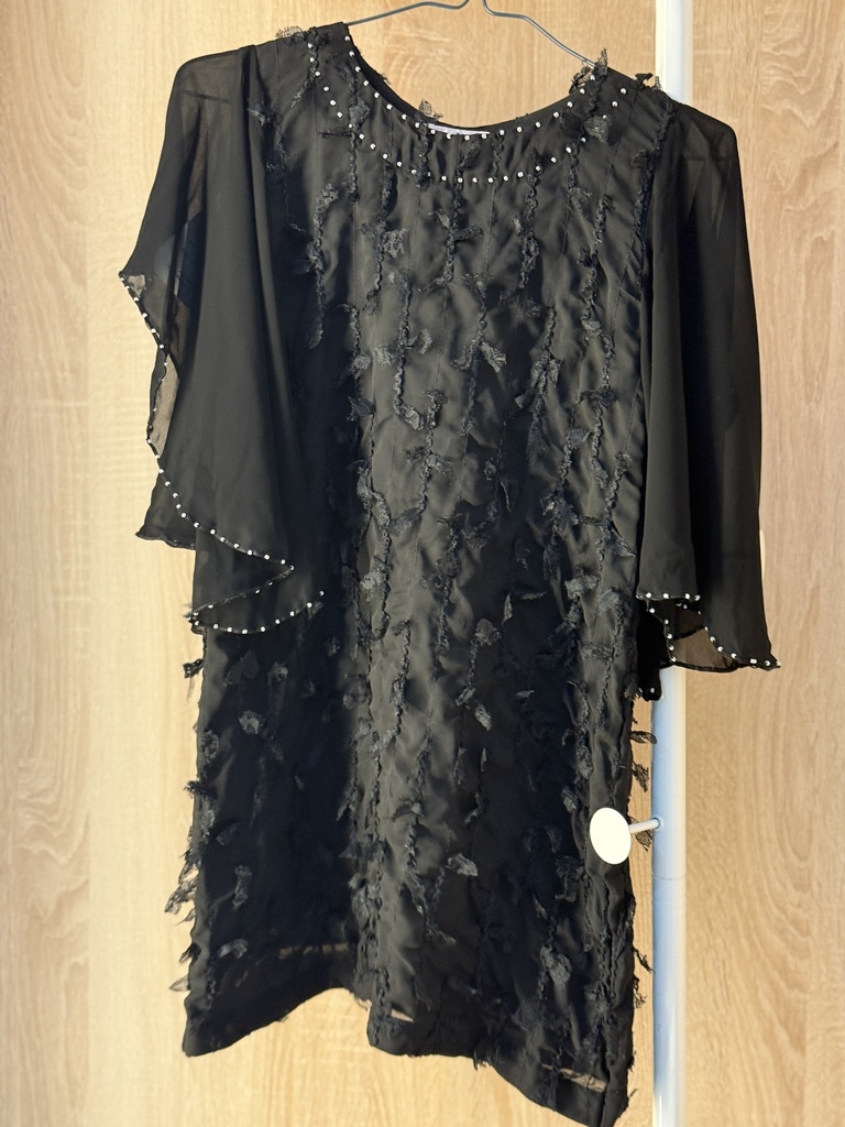 Pearly black sheer ruffles dress 