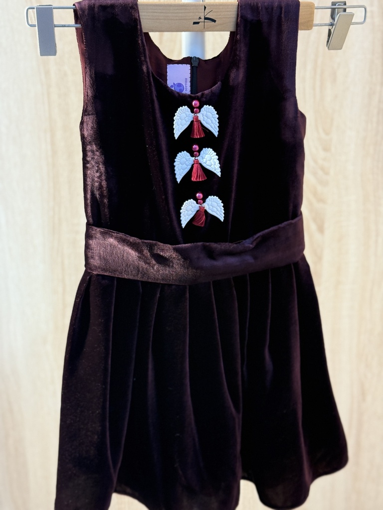 Angels velvet Dress