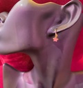 Small Earrings With Star