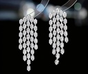 Rhinestones tassel drops dangle earrings 