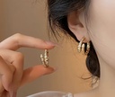 Snake zircon Earrings 