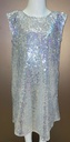 Lovely Silver Dress Adorned with Sequins
