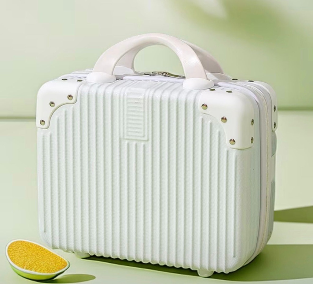Cute Mini Suitcase 