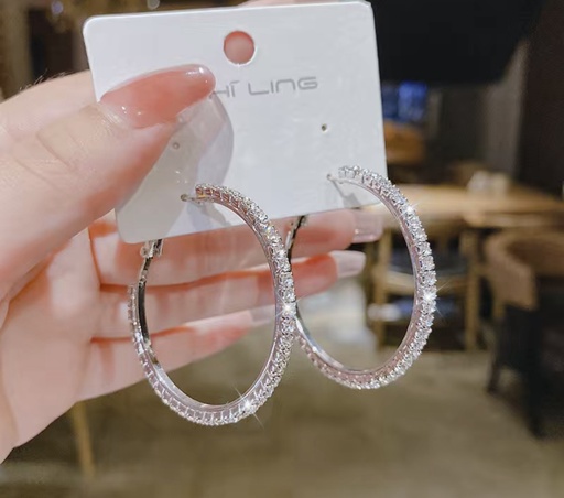Sparkling Hoop Earrings