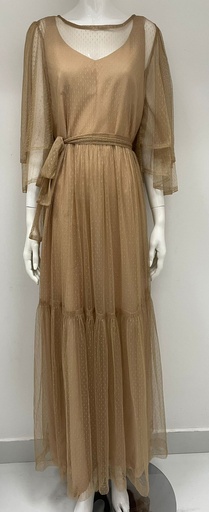 Stylish Mesh Dress