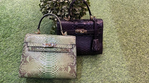  Classy Genuine Python Snakeskin Bag