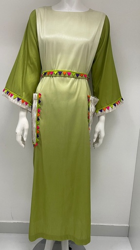 Stylish Embroidered kaftan dress