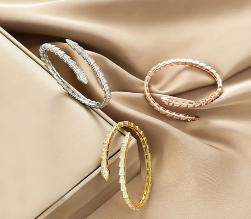 Snake tail zircon Bracelet