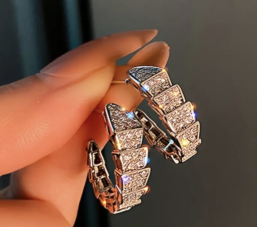 Snake zircon Earrings 