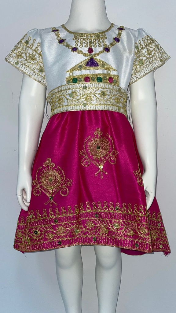 Charming Embroidered Dress with a Traditional Touch for Girls