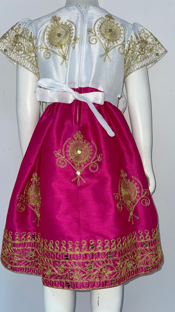 Charming Embroidered Dress with a Traditional Touch for Girls