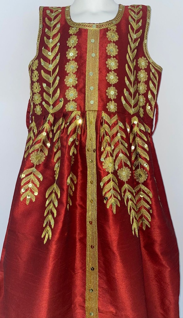 Cute Young Lady Dress With Golden Embroidered 