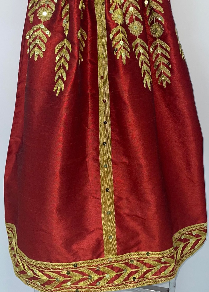 Cute Young Lady Dress With Golden Embroidered 