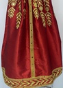 Cute Young Lady Dress With Golden Embroidered 