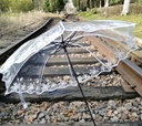 Transparent flowers umbrella 