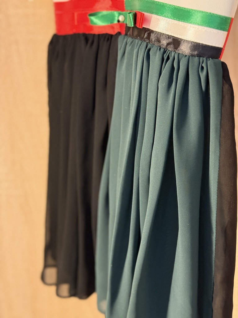 UAE flag colors dress