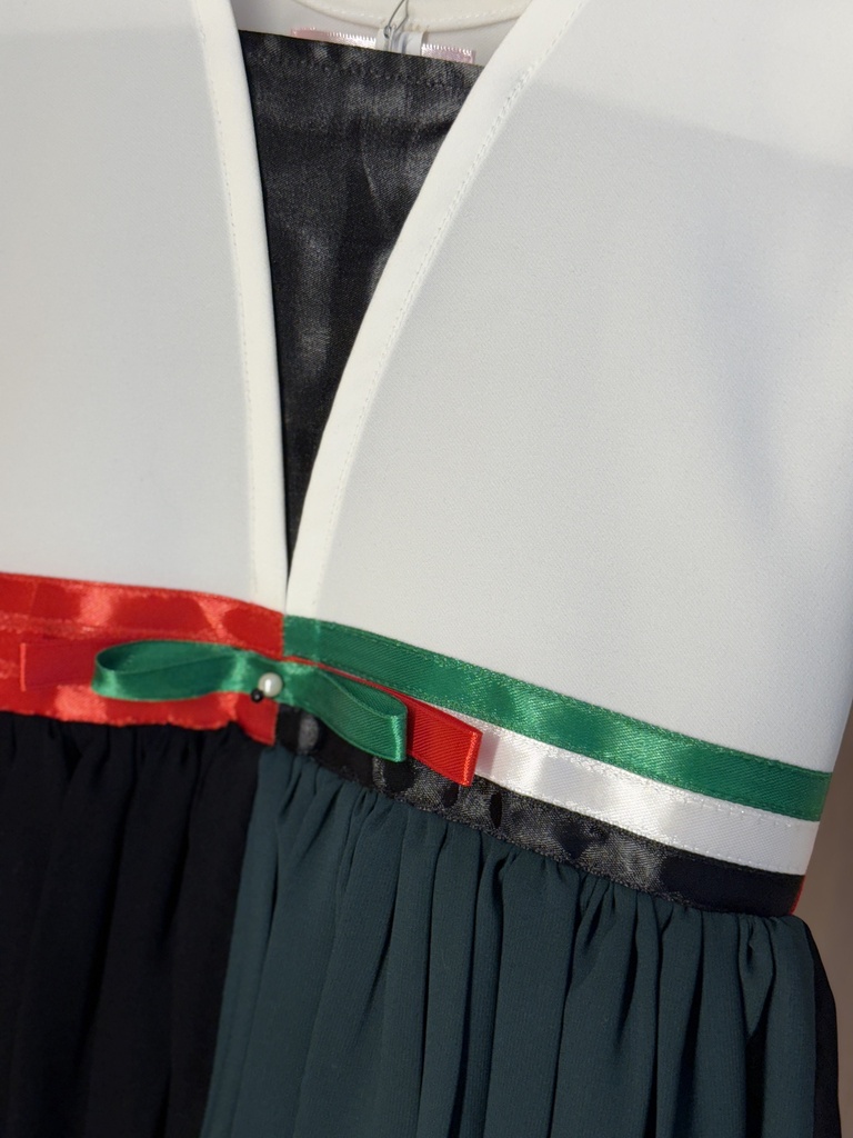 UAE flag colors dress