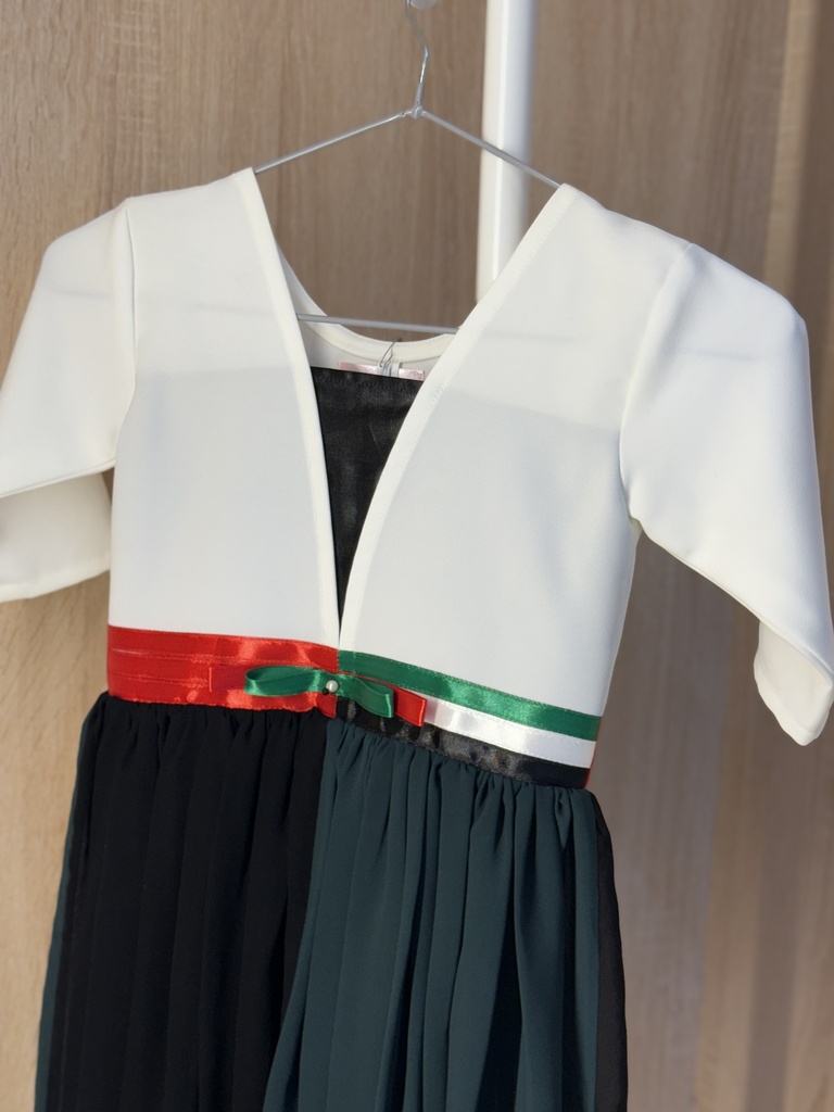 UAE flag colors dress