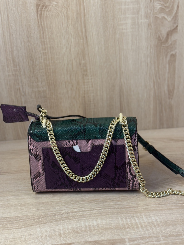 python multicolor bag