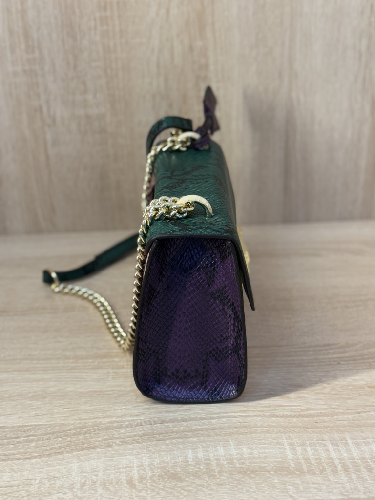 python multicolor bag