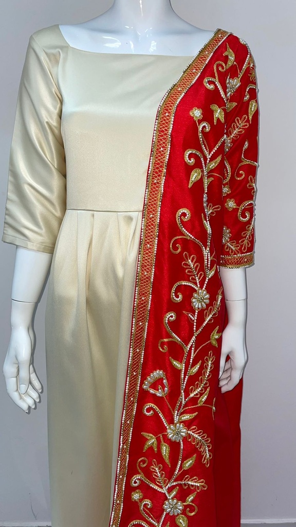 Gorgeous Dual Color Dress